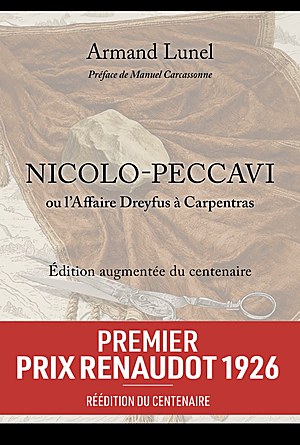 Couverture de Nicolo-Peccavi